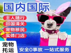 嘎洒航空货运国际宠物托运 【国
